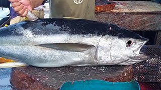 Amazing Skills of cutting tuna at Rufei and Puri Bridge Fish Market Live 11 Nov 24 [upl. by Calvo]