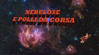 Nebulose e polli da corsa [upl. by Caffrey]