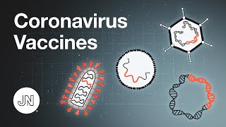 Coronavirus Vaccines  An Introduction [upl. by Zippora745]