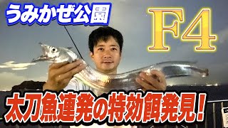 【横須賀うみかぜ公園】渋くてもこの魚の泳がせ釣りで太刀魚連発！釣り方やタックルを徹底解説 [upl. by Yllut732]