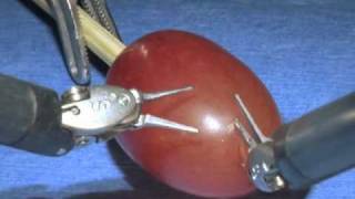 da Vinci Surgical System Surgery on a grape [upl. by Osnofledi]