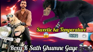 Roxy K Sath Ghumne Gaye🔥Sweetie Ka Temperature🤒Dog Fever Treatment At HomeParvo Virus M kya Kare [upl. by Fredel]