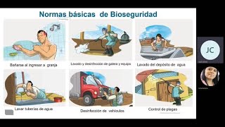 Bioseguridad en granjas avícolas [upl. by Sinai]