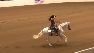 2019 Quarter Horse Congress Freestyle Reining Steve Kutie on Ichibon DMF [upl. by Agata]