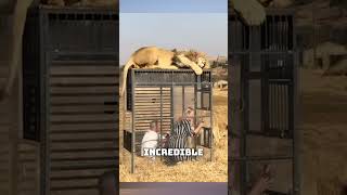 REVERSE ZOO Incredible Animal Encounters [upl. by Dania]