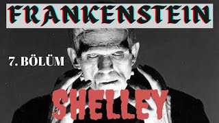 Frankenstein  Mary Shelley Sesli Kitap 7Bölüm seslikitap seslikitapdinle [upl. by Amelie]