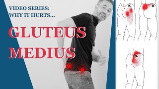 Gluteus Medius Pain  Fix Buttocks Pain amp Sacral Pain With Posture Exercises [upl. by Ulla]