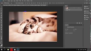 How To Change Image Interpolation in Photoshop [upl. by Marzi]