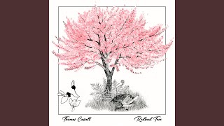 Redbud Tree [upl. by Charlene]