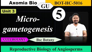 Microgametogenesis Reproductive biology of Angiosperms Bsc Botany 5th sem GU Rajib Axomia Bio [upl. by Leith788]