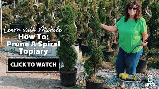 How To Prune A Spiral Topiary  Topiary Tour [upl. by Merriman]