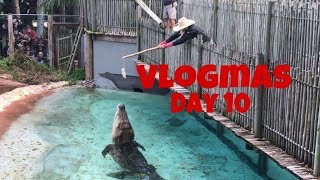 Saltwater Crocodile komodo dragon amp alligators Vlogmas Day 10 Crocfest part 2 [upl. by Asirahc914]