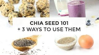 Chia Seed 101  3 Ways To Use Chia Seeds [upl. by Mazonson]