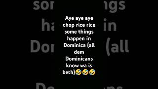 Dominicans now a days [upl. by Gerger]