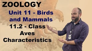 Zoology Unit 11 112  Class Aves [upl. by Monahon]