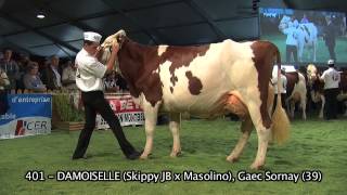 Concours National Montbéliarde 2013  Meilleure Mamelle Adulte et Championne Adulte [upl. by Laiceps]