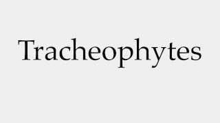 How to Pronounce Tracheophytes [upl. by Sidnal]