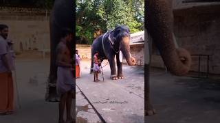 Sorgame Endralum song shortsfeed shorts trending tamilshorts [upl. by Jaynell920]