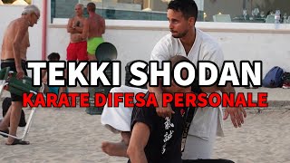 Karate e tecniche di Difesa Personale  Tekki Shodan Bunkai [upl. by Ayaros106]