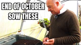 The OCTOBER Sowing Guide Every Gardener Needs [upl. by Brecher79]