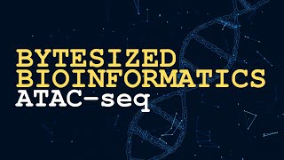 ATACseq  Bytesized Bioinformatics [upl. by Abana]