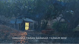 Ormanda Yağan Sağanak Yağmur Sesi  100 Uyku İçin Derin Meditasyon [upl. by Niltiak]