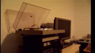 Rick Dees Disco Duck KTel Album Hit Machine 1976wmv [upl. by Anerys]