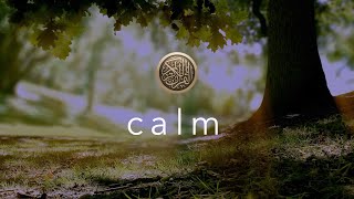 Calming Quran Today I reward you مقطع مبكي للقارئ عمر هشام العربي [upl. by Shear577]