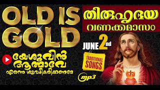 ഈശോയുടെ തിരുഹൃദയ വണക്കമാസം 2nd June  യേശുവിൻ ആത്മാവേ എന്നെ ശുദ്ധികരിക്കണമേ  Wilson Piravom Hits [upl. by Mindy226]