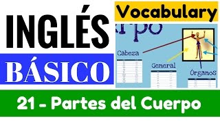 Vocabulario de las partes del cuerpo general cabeza organos quotYes en Inglés 1quot Video 21 [upl. by Lladnyk254]