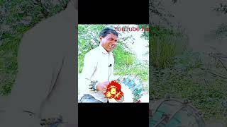 Loafer Loafer Jim Karen Lal Vahi Jhabua Balam Bhole chatting Kauwa YouTube short YouTube funny [upl. by Dreyer]