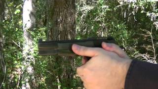 Browning HiPower Captains Model 9mm  The Range [upl. by Kere]