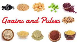 Grains and Pulses names in English  Grains name  Pulses name  Millets  Grains and Cereals [upl. by Voccola]