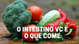 O intestino vc é o que come [upl. by Nikos]