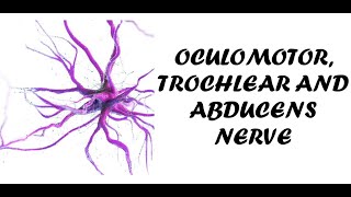 Oculomotor Trochlear and Abducens Nerve  Clinical Examination of Cranial Nerve 3 4 and 6 [upl. by Eta]