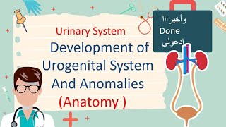 Development of Urogenital System And Renal Anomalies مليان صور توضيحية [upl. by Venu830]