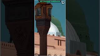 Status Video  Aye Sabz Gumbad Wale  Hafiz Tahir Qadri [upl. by Omland]