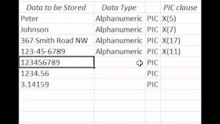 Basics of COBOL PIC Clauses [upl. by Boatwright488]