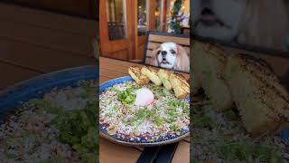 Cavalier King Charles spaniels having their meals [upl. by Edecrem]