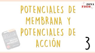 FISIOLOGÍA POTENCIALES DE MEMBRANA Y POTENCIALES DE ACCIÓN  E3  FASES DEL POTENCIAL ACCIÓN [upl. by Marlowe]