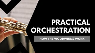 Practical Orchestration 4 How the Woodwind Section Works [upl. by Eivol]