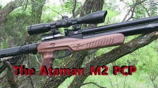 Pest Control with the Ataman M2 Ultra Carbine [upl. by Falito]