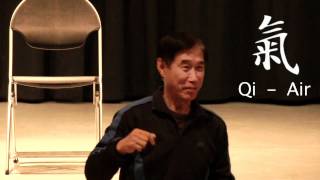 Master Li Junfeng  What is Qigong [upl. by Myo]