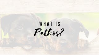 What Is Pathos [upl. by Rubin989]