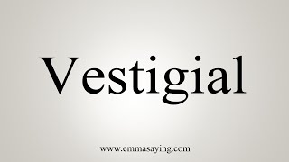 How To Say Vestigial [upl. by Hgeilyak]