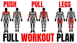 The Smartest Push Pull Legs Routine Fully Explained💪 [upl. by Cleveland617]