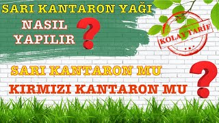 Sarı Kantaron Yağı Nasıl Yapılır Kırmızı Kantaron Yağı Nedir Sarı Kantaron Neye İyi Gelir Tarifi [upl. by Chaim885]