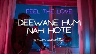 Deewane hum nahi hote Slowed and reverb Song [upl. by Gardal]