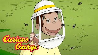 George the Beekeeper 🐵 Curious George 🐵 Kids Cartoon 🐵 Kids Movies [upl. by Etteloiv992]