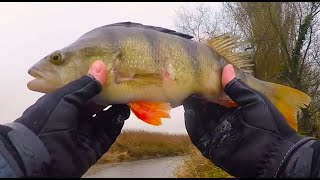 HOW TO TIE A DROPSHOT RIG FOR BIG PERCH [upl. by Allimak]